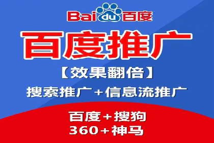 网络推广与竞价策略实战案例
